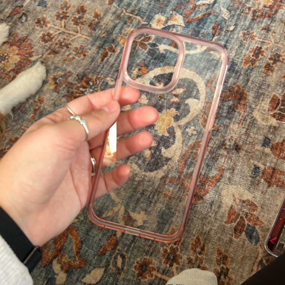 iPhone 13 Pro Max case